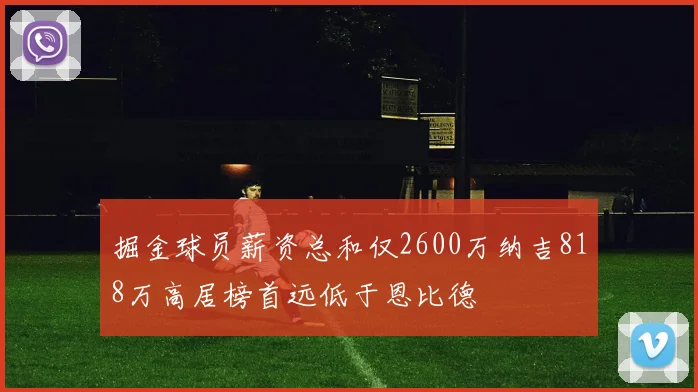 掘金球员薪资总和仅2600万纳吉818万高居榜首远低于恩比德