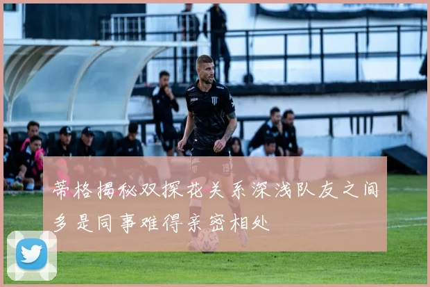 蒂格揭秘双探花关系深浅队友之间多是同事难得亲密相处