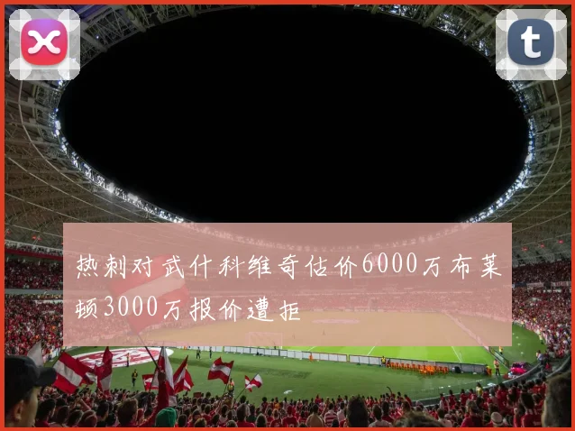 热刺对武什科维奇估价6000万布莱顿3000万报价遭拒
